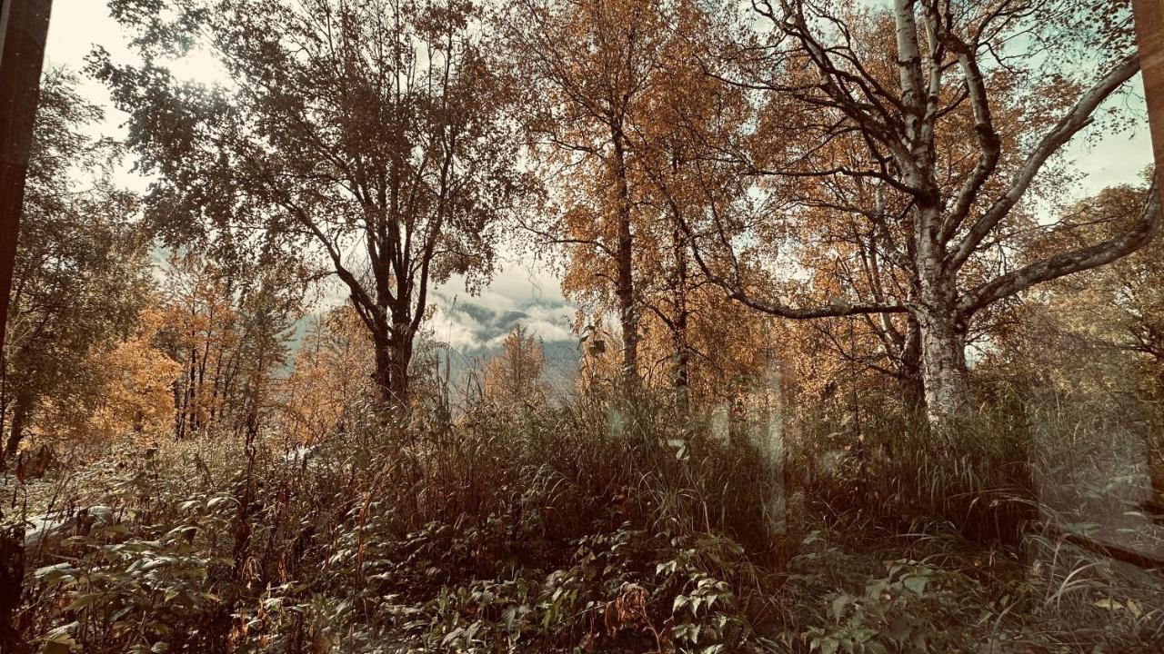 Eagle River Eagle Peak Guesthouse מראה חיצוני תמונה