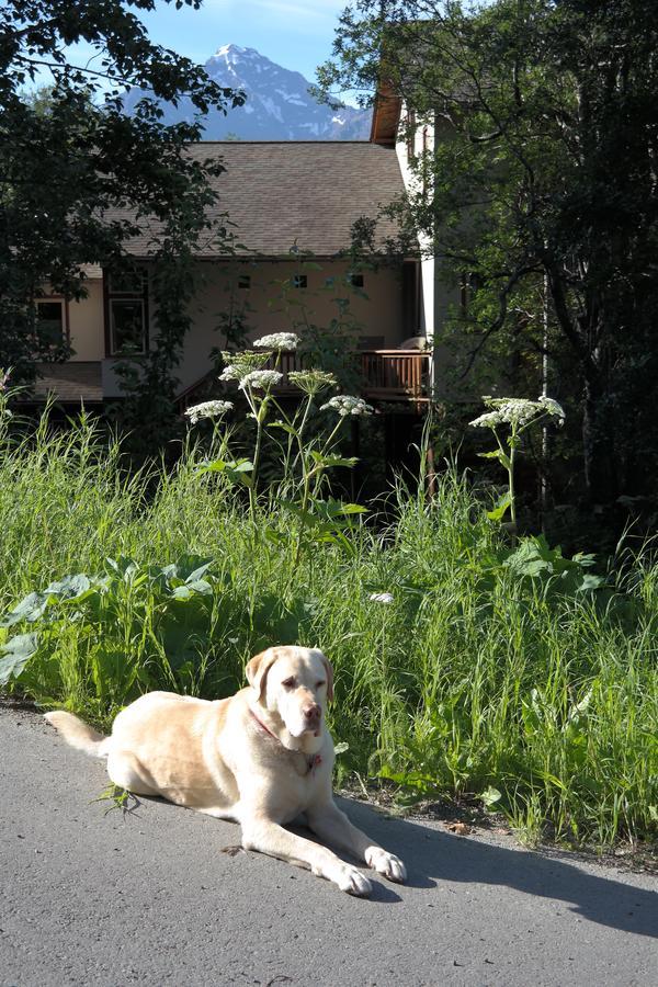 Eagle River Eagle Peak Guesthouse מראה חיצוני תמונה